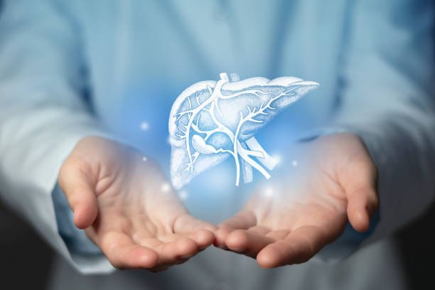 Liver Transplant Cost in India 