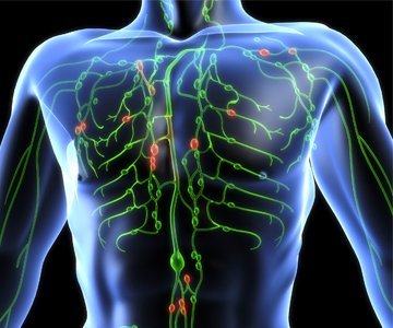 Bone Marrow Transplant Cost In India